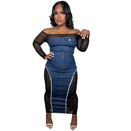 See Through Denim Dress